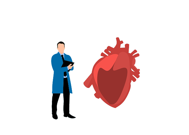 Peran dan Manfaat BPJS Pada Karyawan